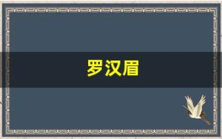 罗汉眉(罗汉眉不是一般人吗)