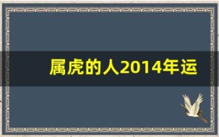 属虎的人2014年运程