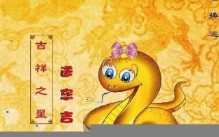 2013运程(2013生肖运程)