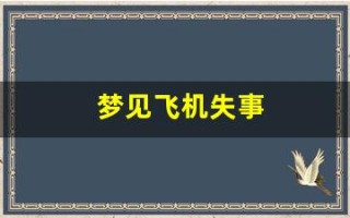 梦见飞机失事(梦见飞机失事自己逃过一劫)