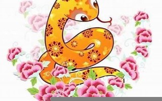 属蛇今年运程(属蛇今年运程每月运势)