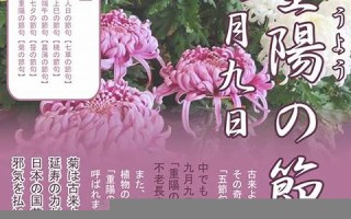9月9(9月9日忆山东兄弟古诗的意思)