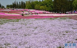 2016年4月26日(2016年4月26日发生了什么)