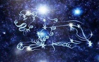 《狮子座》(狮子座和什么星座最配)