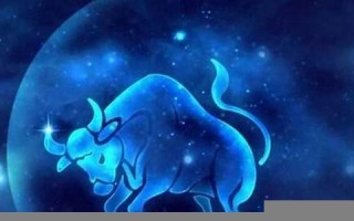 金牛座的男人(金牛座男生的10个特点)