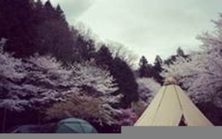 2015年11月29日(2015年11月29日是什么星座)