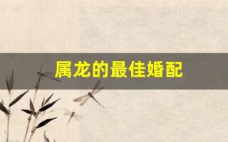属龙的最佳婚配(属蛇的最佳婚配)