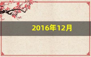 2016年12月(2016年12月16日农历是多少)