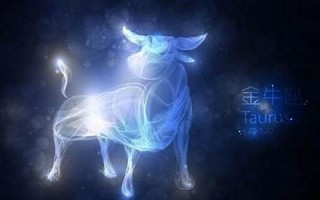 金牛座的爱情观(金牛座的爱情观女性)