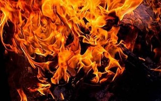 梦见火是什么意思(梦见火是什么意思有什么预兆)