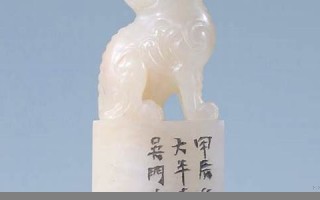 龙马护印(龙马护目镜怎么获取)