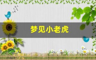 梦见小老虎(梦见小老虎幼崽)