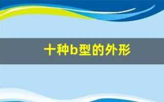十种b型的外形(十种b型的外形特点)