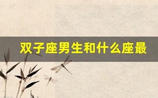 双子座男生和什么座最配(双子座男生和什么座最配女生相配)