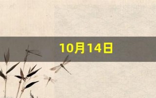 10月14日(2005年10月14日)
