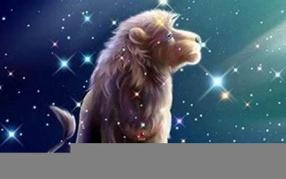 狮子座和射手座(狮子座和处女座合不合)