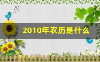 2010年农历是什么年