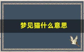 梦见猫什么意思(女人梦见猫什么意思)