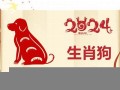 属狗2024年的运势及运程(属狗2024年的运势及运程每月)