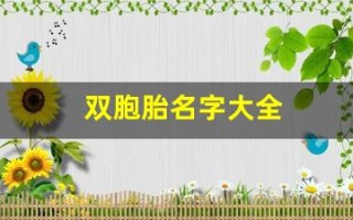 双胞胎名字大全(双胞胎名字大全女孩)