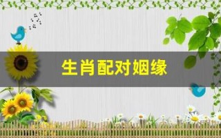 生肖配对姻缘(龙虎生肖配对姻缘)