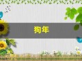 狗年(狗年今年多少岁)