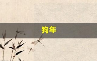 狗年(狗年今年多少岁)