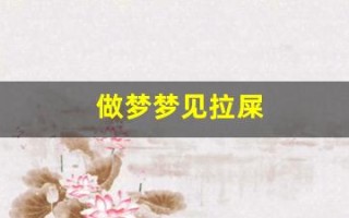 做梦梦见拉屎(做梦梦见拉屎在裤裆里是什么意思)