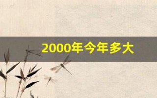 2000年今年多大(2006年今年多大)