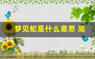 梦见蛇是什么意思 周公解梦(梦见很多蛇是什么意思 周公解梦)