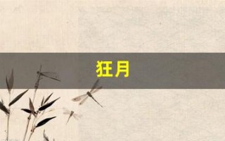 狂月(狂月天时的微博)