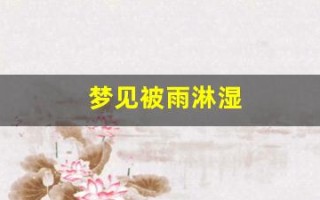 梦见被雨淋湿(梦见被雨淋湿头发)