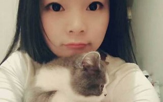 11月13号(11月13号是什么星座)