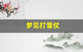 梦见打雪仗(梦见打雪仗)