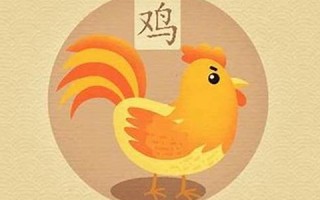 2013属鸡的运程(属鸡的2013年多大了)