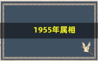 1955年属相(1955年是啥)