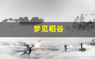 梦见稻谷(梦见稻谷是什么意思)